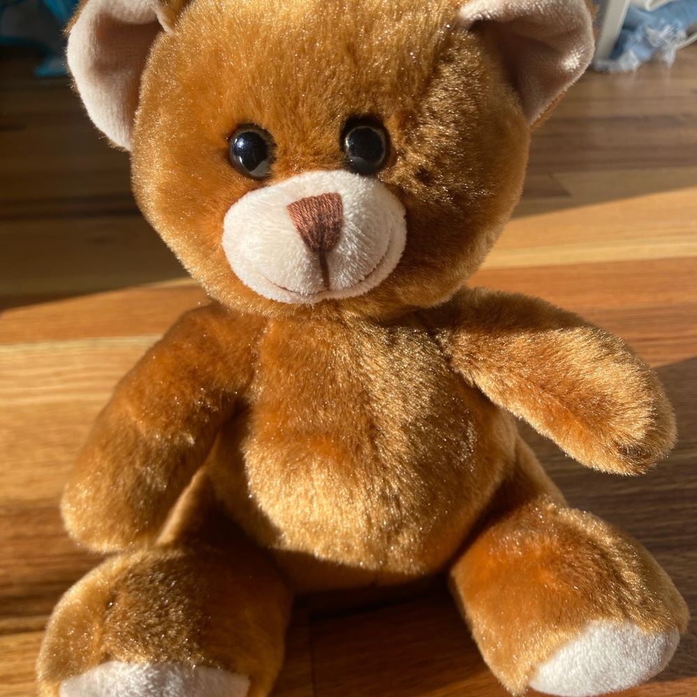 Brown Teddy Bear Plush Toy